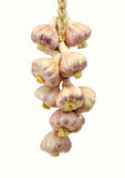 Ristra/ String of Ceramic Garlic, with 16-18 Garlics, 20 Inches Long