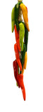 Large Ristra/ Sting of Ceramic Chili Hungaro, with 16 Chiles-25 Inches Long